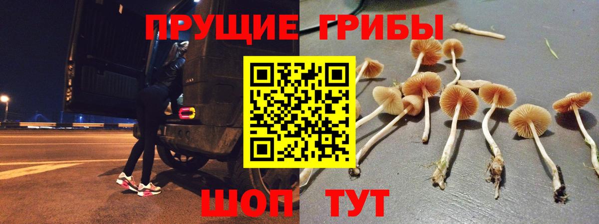 Псилоцибиновые грибы мухоморы Ижевск