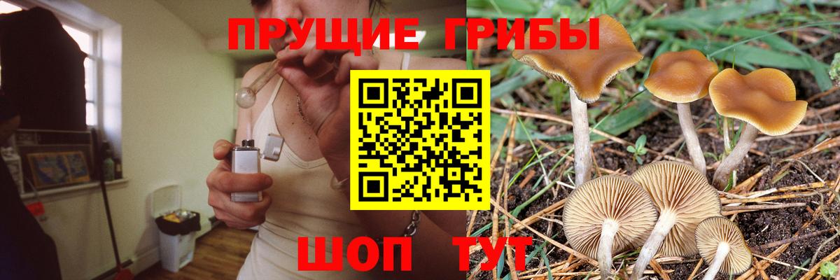 Галлюциногенные грибы GOLDEN TEACHER  Вход с VPN  Ижевск 